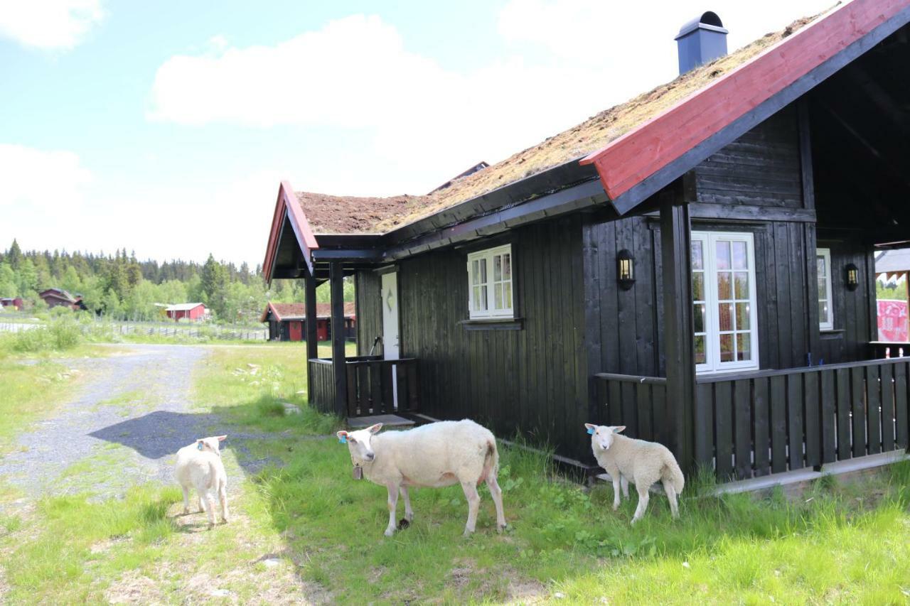 Gamlestolen Fjellstue Villa Etnedal Exterior photo